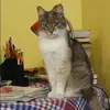 Отзыв от Венера Федосова